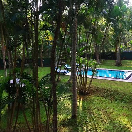 Chandra Villa Ayurveda Resort Bentota Exteriér fotografie
